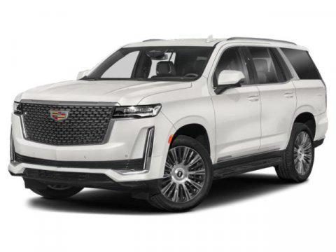 2022 cadillac escalade sport platinum