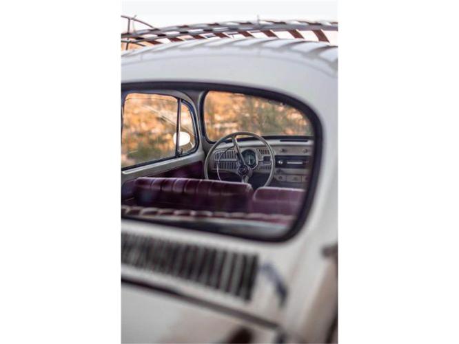 1966 volkswagen beetle in cadillac, michigan