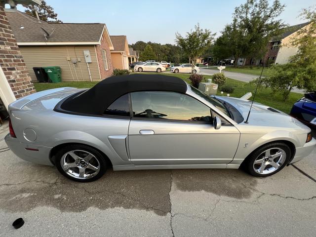 2004 ford mustang svt cobra