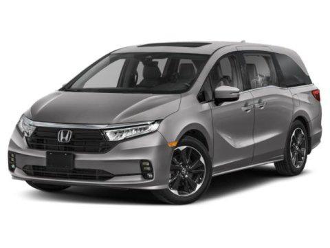 2022 honda odyssey elite