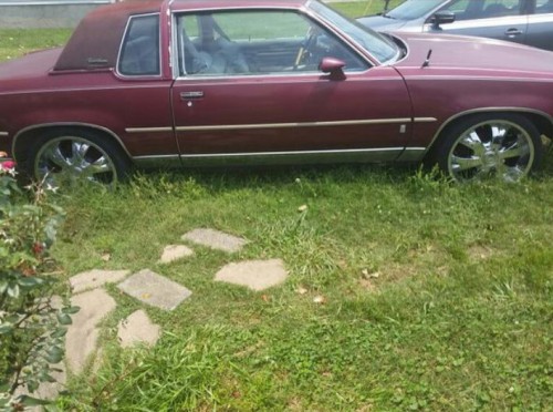 1984 oldsmobile cutlass for sale in tennessee by owner