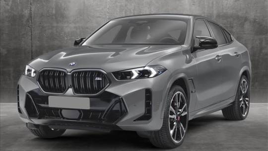 2025 BMW X6
