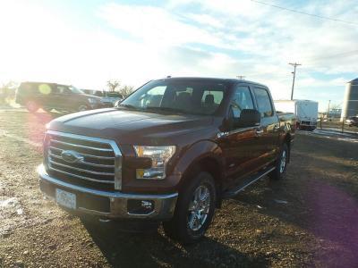 2016 ford f-150 xlt 4x4 xlt 4dr supercrew 5.5 ft. sb for sale in wolf point, montana
