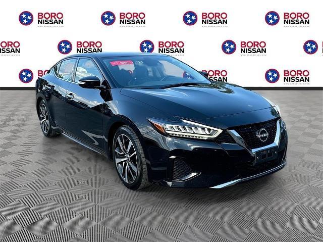 2023 nissan maxima sv