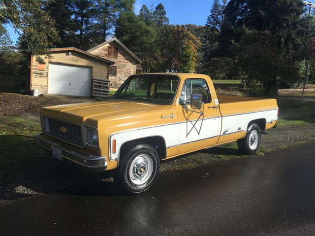 1973 chevy c-20 cheyenne super 454 camper special rust free worldwide no reserve
