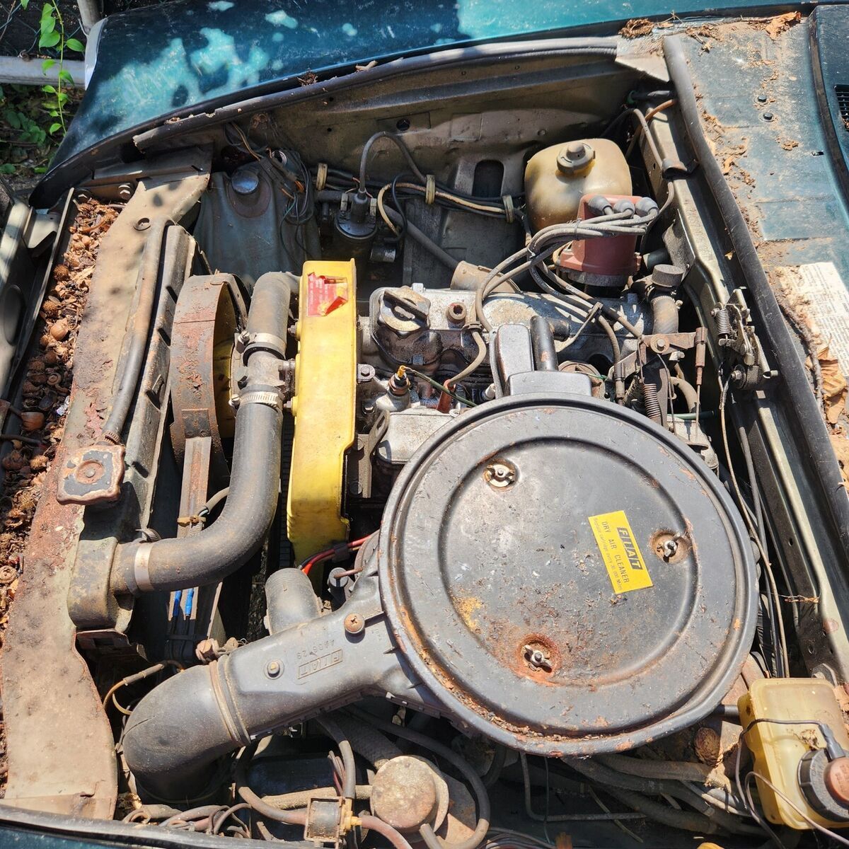 1979 fiat spider 2000 convertible green