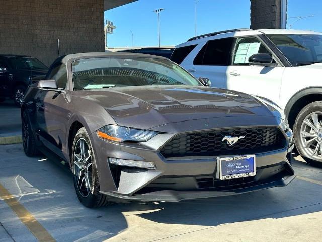 2022 ford mustang ecoboost