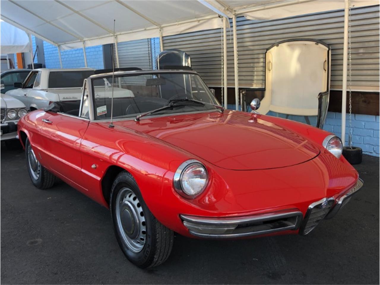 1967 alfa romeo spider