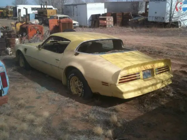 1976 project car