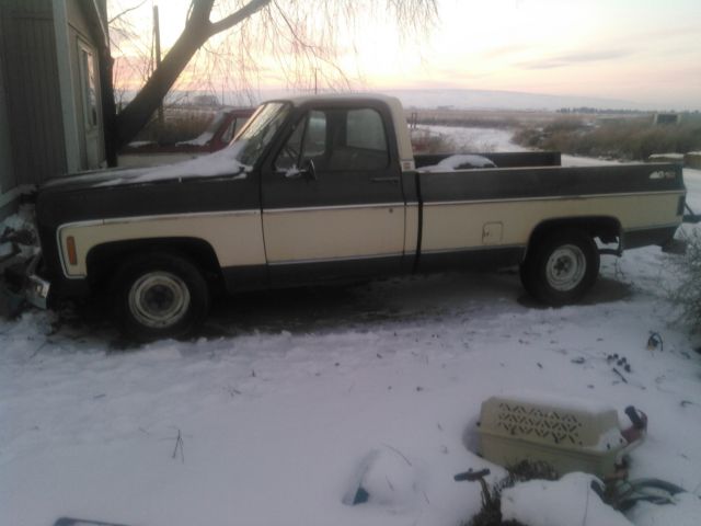 1979 chevrolet 1500