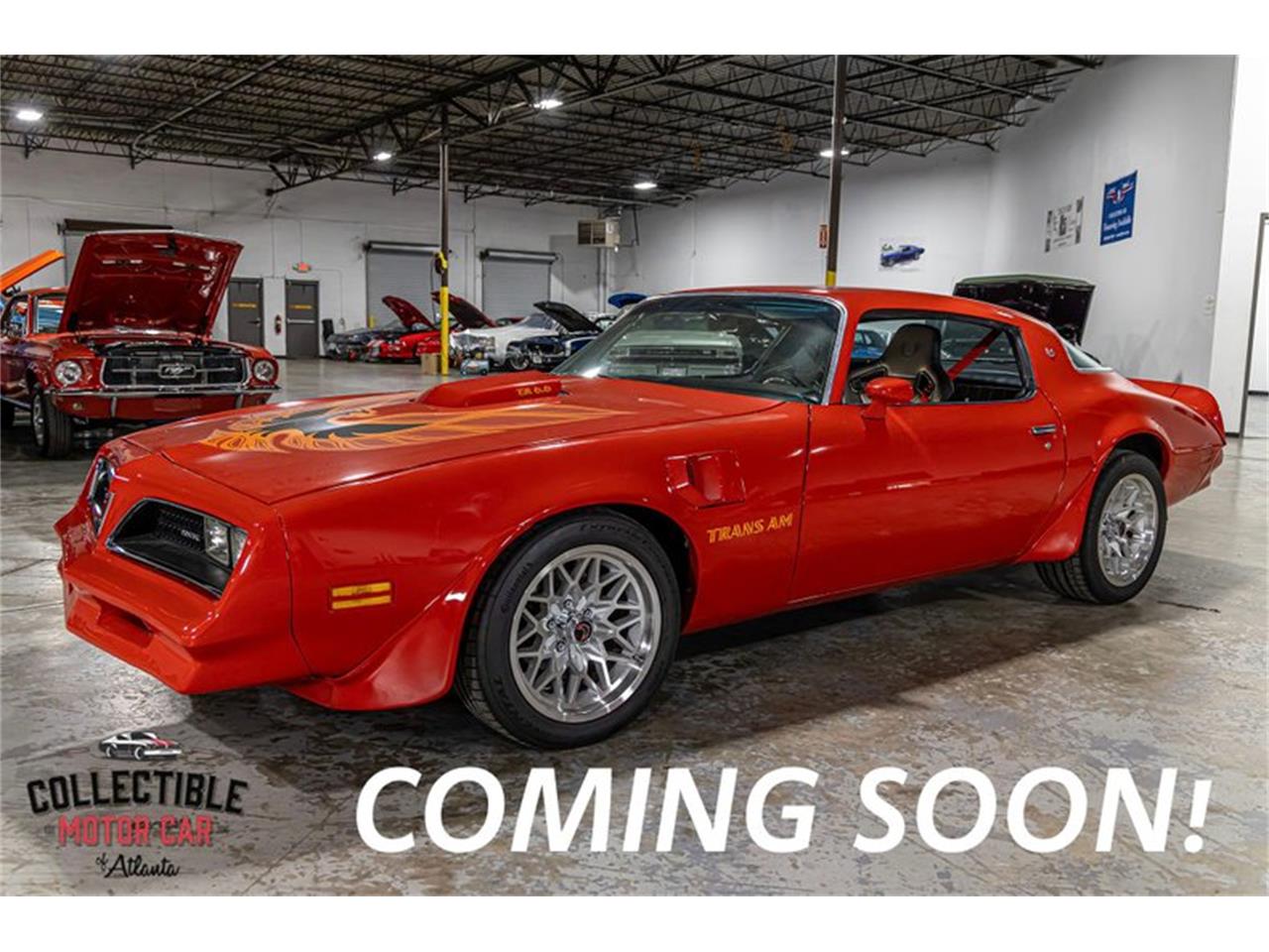 1978 pontiac firebird trans am