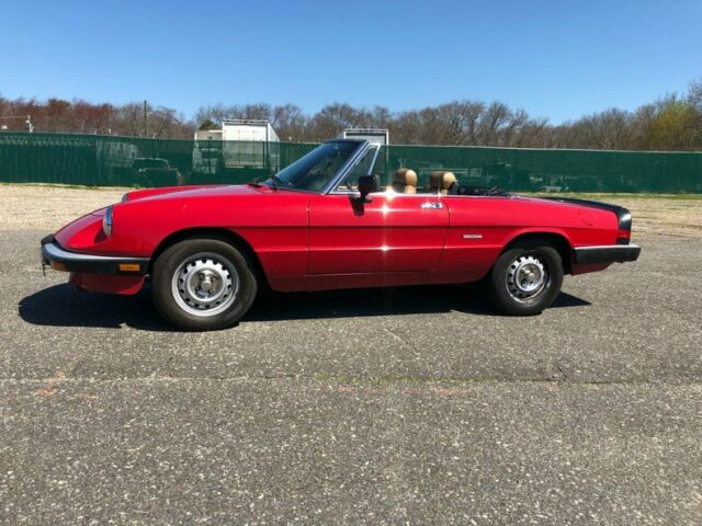 1987 alfa romeo spider graduate true 1 owner car low orig miles