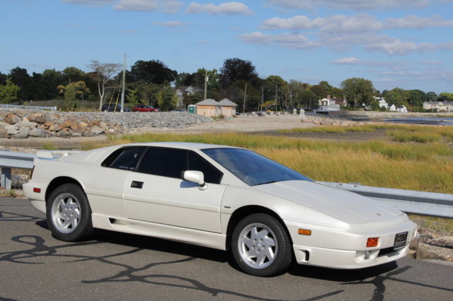 1991 lotus esprit se "the best one we could find!!! great car!!!"