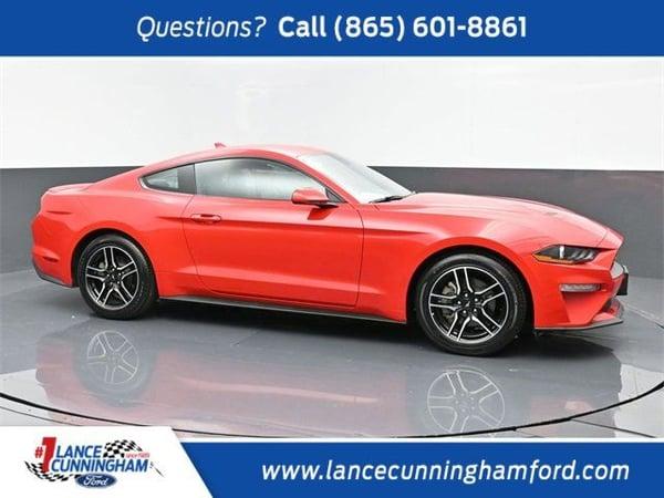 2022 ford mustang in burnips, michigan