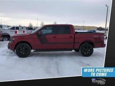 2014 ford f-150 fx4 4x4 fx4 4dr supercrew styleside 6.5 ft. sb for sale in devils lake, north dakota