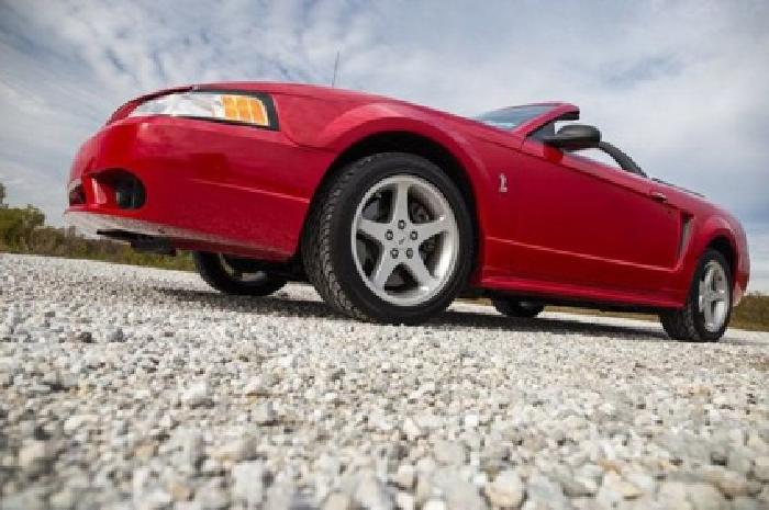~~~%%%%%%%1999 ford mustang cobra in niskayuna, ny