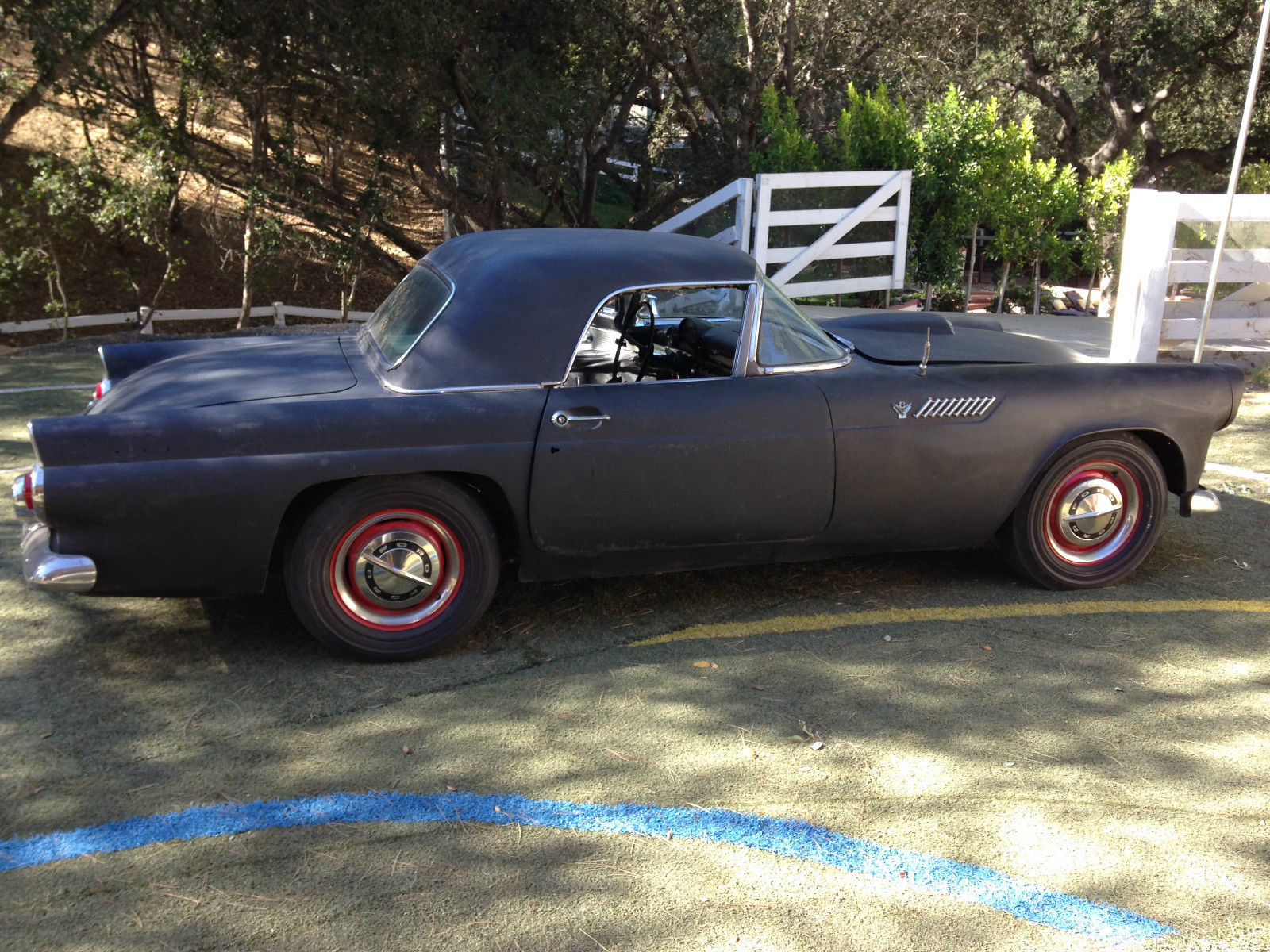 1955 ford thunderbird