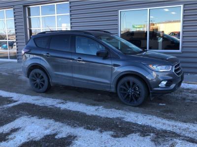 2017 ford escape se awd se 4dr suv for sale in devils lake, north dakota