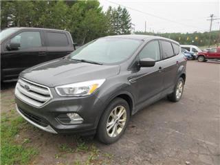2019 Ford Escape se