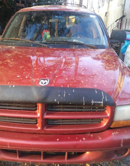 1998 dodge durango in florida by owner