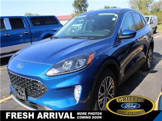 2022 Ford Escape sel