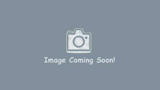 2007 Lexus LS