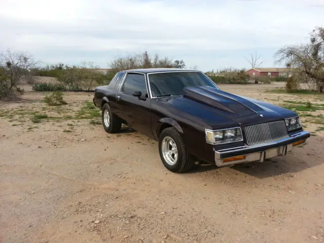 1987 buick regal