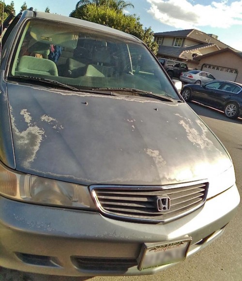 2000 honda odyssey for sale in california by owner