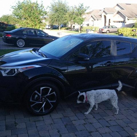 2018 toyota c-hr xle