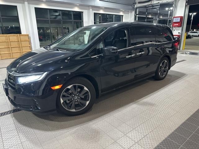 2022 honda odyssey elite